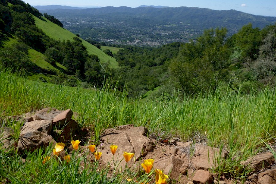 Novato Park Marin County USA